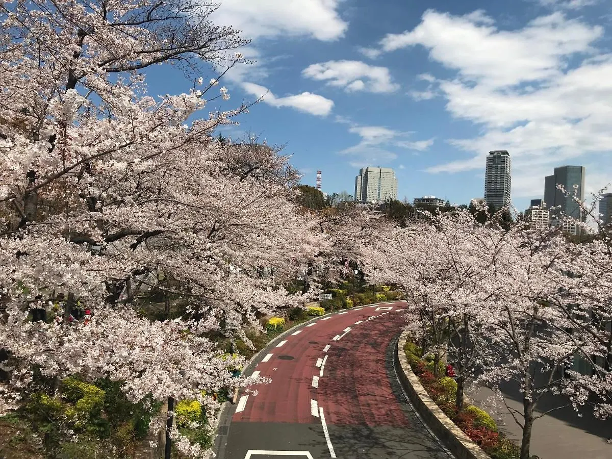 Apa Hotel Roppongi Itchome Ekimae Tokyo 3*,  Japan